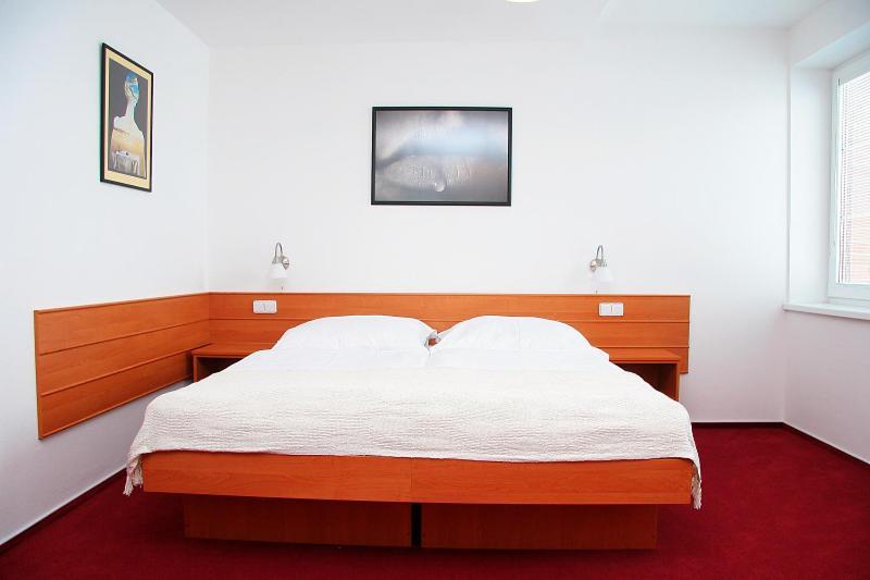 Penzion Bocheta Novy Jicin Room photo